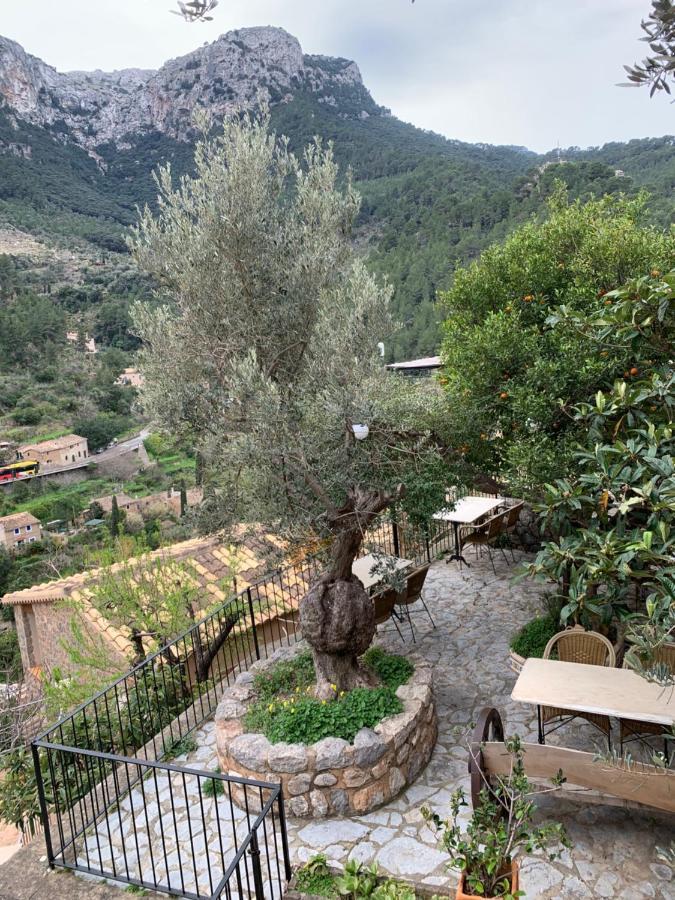 Verde-adults Only Deia